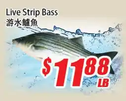 WinCo Food Mart Live Strip Bass offer