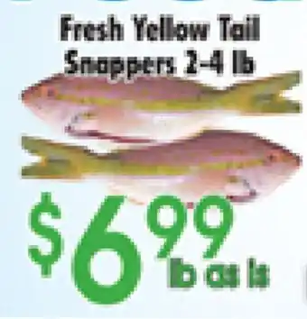 Danforth Food Market Fresh Yellow Tail Snappers offer