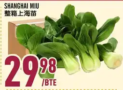 Marché Lian Tai SHANGHAI MIU offer