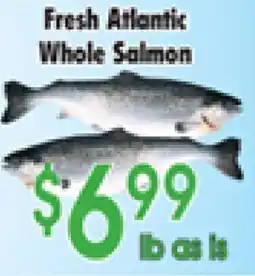 Danforth Food Market Fresh Atlantic Whole Salmon offer