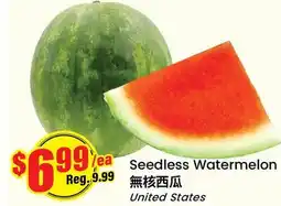 Btrust Supermarket Seedless Watermelon offer
