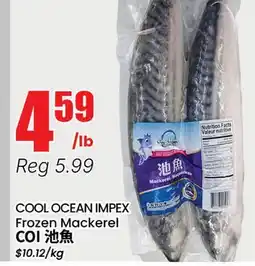 Btrust Supermarket COOL OCEAN IMPEX Frozen Mackerel offer