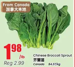 Btrust Supermarket Chinese Broccoli Sprout offer