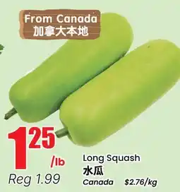 Btrust Supermarket Long Squash offer