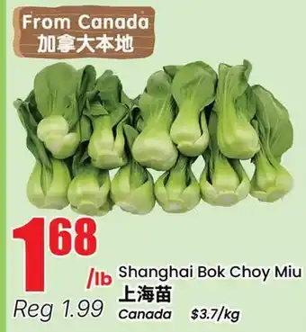 Btrust Supermarket Shanghai Bok Choy Miu offer