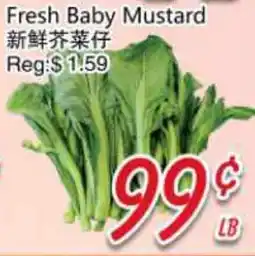 Foody Mart Fresh Baby Mustard offer