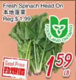 Foody Mart Fresh Spinach Head On offer
