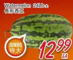 Foody Mart Watermelon 24Lb± offer