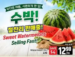 Galleria Supermarket Watermelon (XL) offer