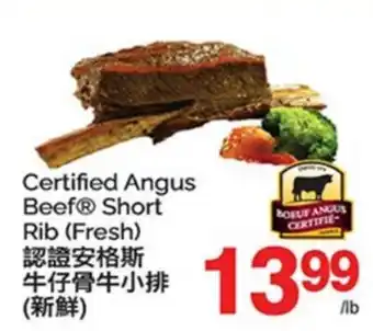 T&T Supermarket CERTIFIED ANGUS BEEF SHORT RIB offer