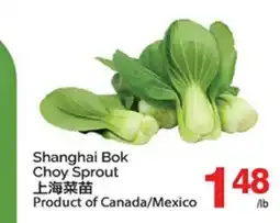 T&T Supermarket SHANGHAI BOK CHOY SPROUT offer
