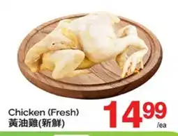 T&T Supermarket CHICKEN offer