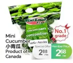 T&T Supermarket MINI CUCUMBER offer