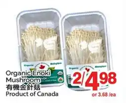 T&T Supermarket ORGANIC ENOKI MUSHROOM offer