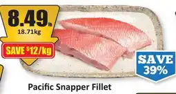 Starsky Pacific Snapper Fillet offer