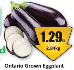 Starsky Ontario Grown Eggplant offer