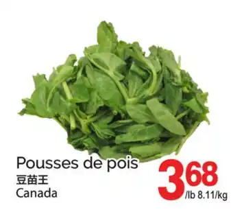 T&T Supermarket POUSSES DE POIS offer