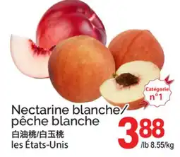 T&T Supermarket NECTARINE BLANCHE/PÊCHE BLANCHE offer