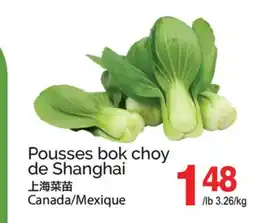 T&T Supermarket POUSSES BOK CHOY DE SHANGHAI offer
