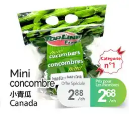 T&T Supermarket MINI CONCOMBRE offer