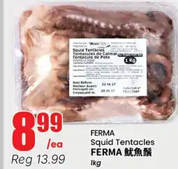 Terra Foodmart FERMA Squid Tentacles offer