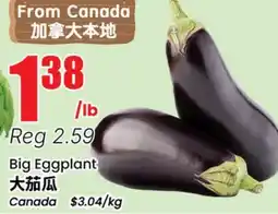 Terra Foodmart Big Eggplant offer