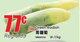 Terra Foodmart Green Radish offer