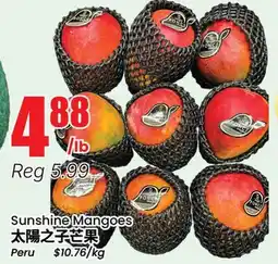 Terra Foodmart Sunshine Mangoes offer