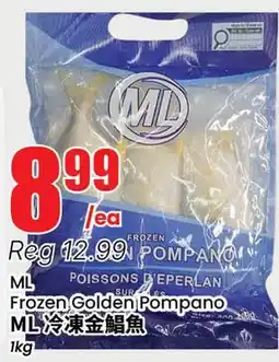 Terra Foodmart ML Frozen Golden Pompano offer