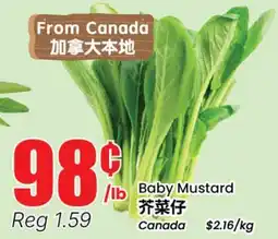 Terra Foodmart Baby Mustard offer