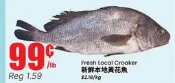 Terra Foodmart Fresh Local Croaker offer