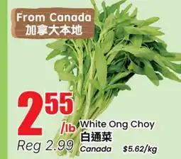 Terra Foodmart White Ong Choy offer