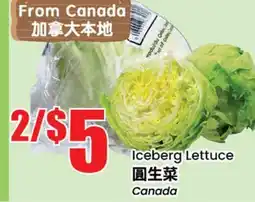 Terra Foodmart Iceberg Lettuce offer