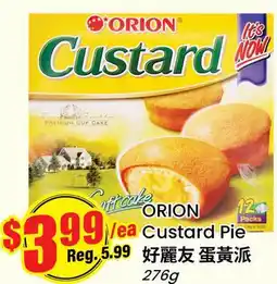 Terra Foodmart ORION Custard Pie offer