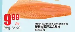 Terra Foodmart Fresh Atlantic Salmon Fillet offer