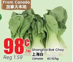 Terra Foodmart Shanghai Bok Choy offer