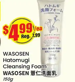 Terra Foodmart WASOSEN Hatomugi Cleansing Foam offer