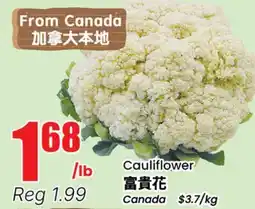 Terra Foodmart Cauliflower offer