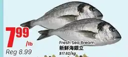 Terra Foodmart Fresh Sea Bream offer