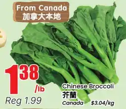 Terra Foodmart Chinese Broccoli offer
