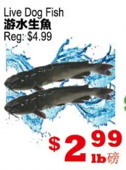 Yuan Ming Supermarket Live Dog Fish offer
