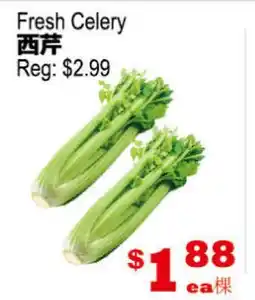 Yuan Ming Supermarket Fresh Celery offer