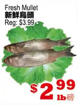 Yuan Ming Supermarket Fresh Mullet offer