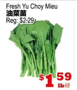 Yuan Ming Supermarket Fresh Yu Choy Mieu offer