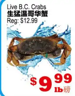 Yuan Ming Supermarket Live B.C. Crabs offer