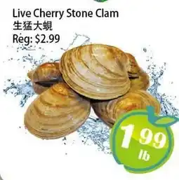 Food Depot Supermarket Live Cherry Stone Clam offer