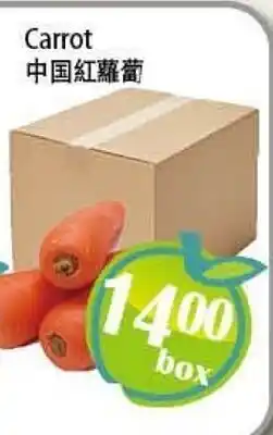 Food Depot Supermarket Carrot offer