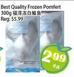 Food Depot Supermarket Best Quality Frozen Pomfert offer
