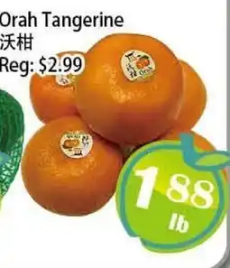 Food Depot Supermarket Orah Tangerine offer