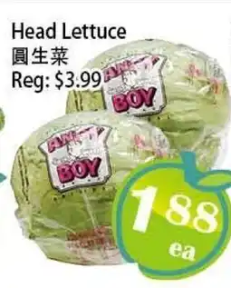 Food Depot Supermarket Head Lettuce offer